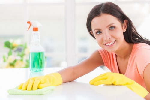 Professional sofa cleaning service for a Surrey home