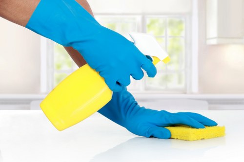 Regular cleaning support for a busy Surrey household