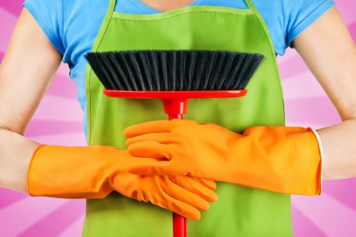 Professional carpet cleaning service for Surrey homes and family living rooms