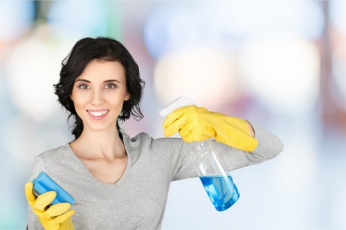 Professional home cleaning service for Surrey houses and apartments